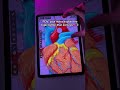 App: ZoomArt 💕 #ipadnotes #notetaking #humananatomy #digitalart #notecard #notes #ipad #applepencil