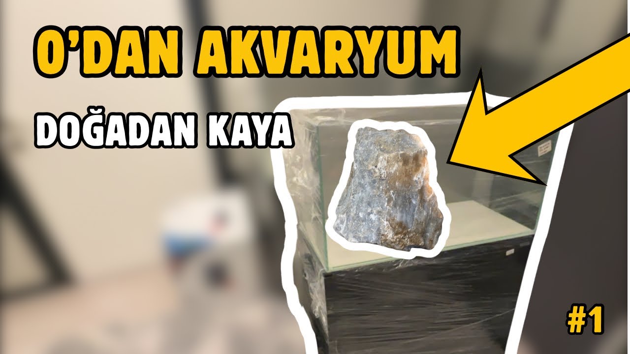 Doğadan Taş Toplayıp Akvaryum Kuruyorum (#1)