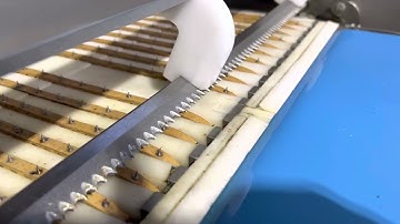 Marel SC180 Salmon Slicer - Visual Inspection P2