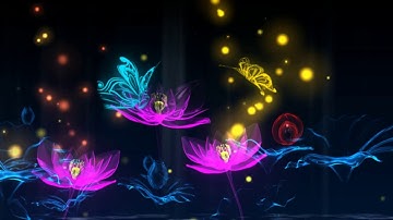 Lotus Flower Blooming Video Background With Butterfly
