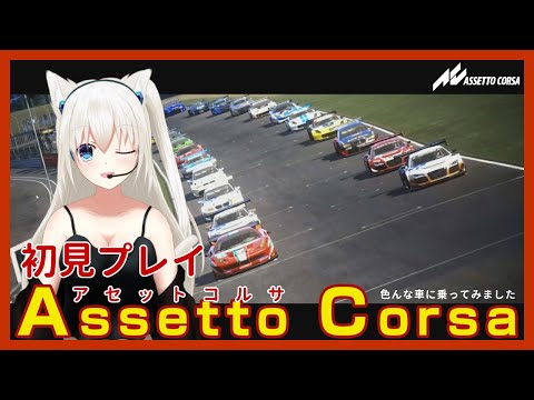 【Assetto Corsa】初見プレイ！いろんな車運転してみる！！ #こゆきライブ 352