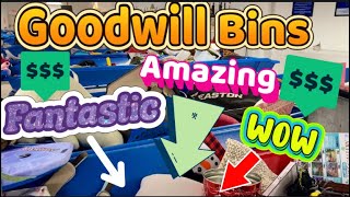 Another FANTASTIC Day at the Goodwill Bins | A Steiff Lion, A 100 YEAR OLD Quilt, & Much More…