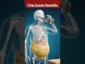 Chia Seeds VS Belly Fat | See what happens #food #health #facts
