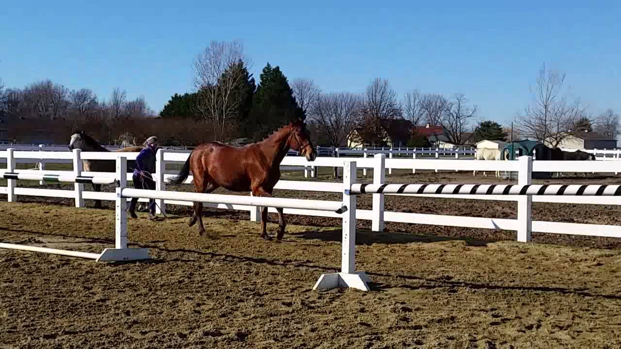 Rubenesque free jumping 2