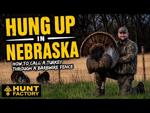 Hung Up in Nebraska