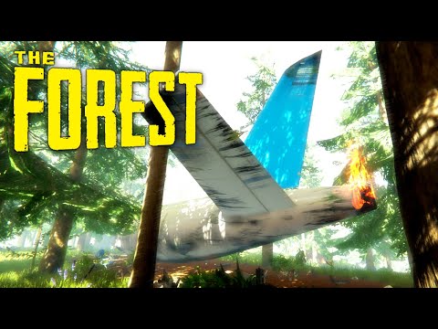Video: Hur Man överlever En Flygolycka I Skogen