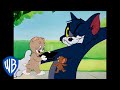 Tom y Jerry en Español | Lecciones en casa | WB Kids