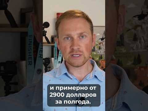 Языковые курсы в Новой Зеландии: стоимость, сроки, виза #иммиграция #новаязеландия