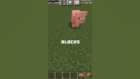 placing a block for every subscriber I have | #Day15 | #shorts #gaming #minecraft #blockchain #dream