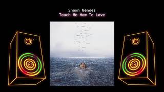 SHAWN MENDES TEACH ME HOW TO LOVE (📀DRG HQ AUDIO📀)