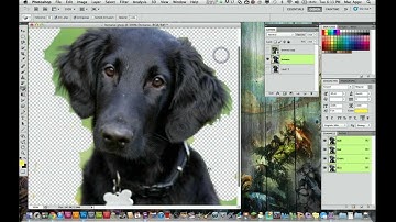 Adobe Photoshop CS5 Tutorial - How to Remove A background From an Image