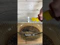 Kalbi Steak Marinade 