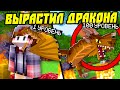 Если Бы Драконов Можно Было Приручать в Майнкрафт!