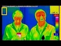Microwave Safety and Functionality