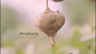 CITRA BODY LOTION Title: 