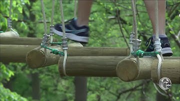 Treetop Quest Philly