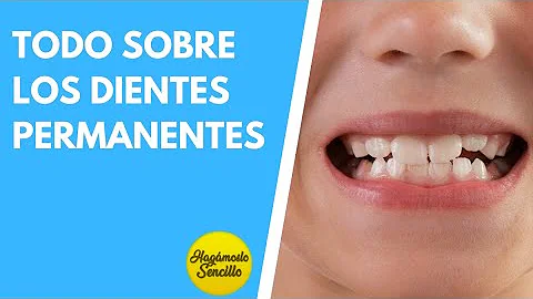 ¿A qué edad empiezan a perder dientes los adultos?