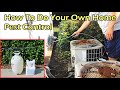 How To Do Your Own Home Pest (Bug) Control - Talstar P Insecticide