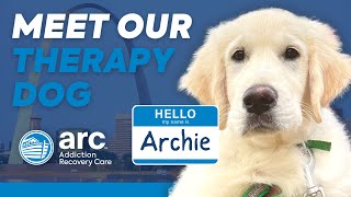 MEET ARCHIE, OUR CLIENT'S NEW THERAPY DOG!