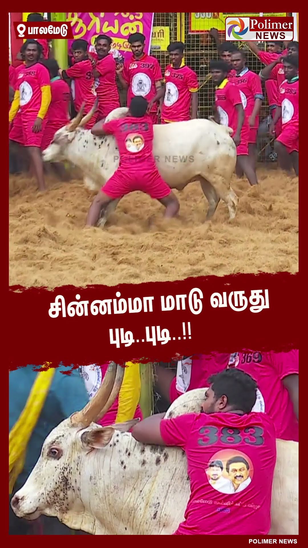 சின்னம்மா மாடு வருது புடி..புடி.. காளையை அடக்கிய இளைஞர்.! #shorts | #palamedujallikattu