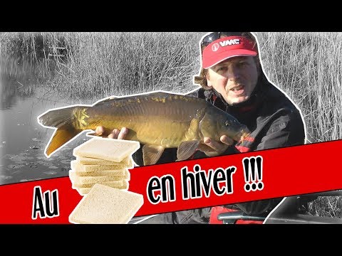 Pêche en carpodrome