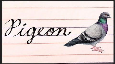 Birds Names, Names of birds in cursive writing, spellings of birds names in cursive for beginners