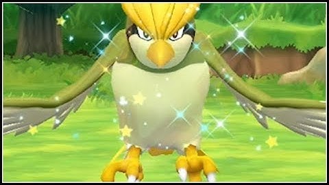 SHINY PIDGEOTTO! Pokemon Let