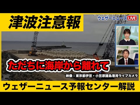 【ただちに海岸から離れて】伊豆諸島に津波注意報発表