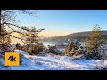 4K-HDR Winter Forest Walk in Norway | Binaural/3D Audio to Relieve Stress