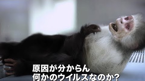 動物園の動物たちがゾンビ化！映画『ZOOMBIE ズーンビ』予告編
