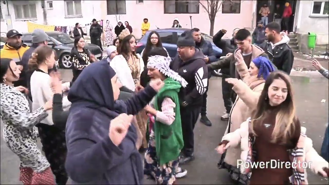 Denis si narcisa logdna.dv1