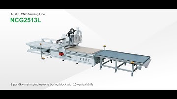 Nanxing NCG2513L CNC Nesting Line