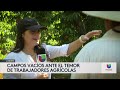 🔴En Vivo | Iglesias vacías tras operativos migratorios | 4 PM | 07.12.25