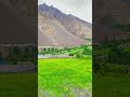 Yasin Valley: simple life, pure soul. Where time slows down and peace speaks louder than noise #fyp