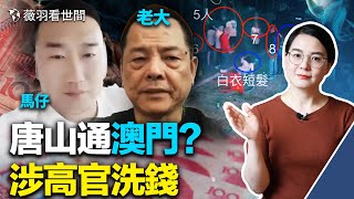 通報細節藏真相！唐山是洗錢聖地、直通澳門賭場？唐山管控，連蒼蠅都飛不進；河北省打假新聞，原來有內幕；輾壓視頻造假，我來闢謠。｜薇羽看世間 第499期 20220621