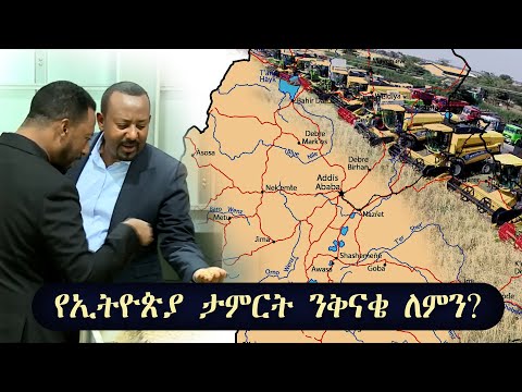 ቪዲዮ: የጠንካራ ጌጣጌጥ ሳር እፅዋት - ለዞን 5 የአትክልት ስፍራዎች ምርጡ የጌጣጌጥ ሳር ምንድነው?