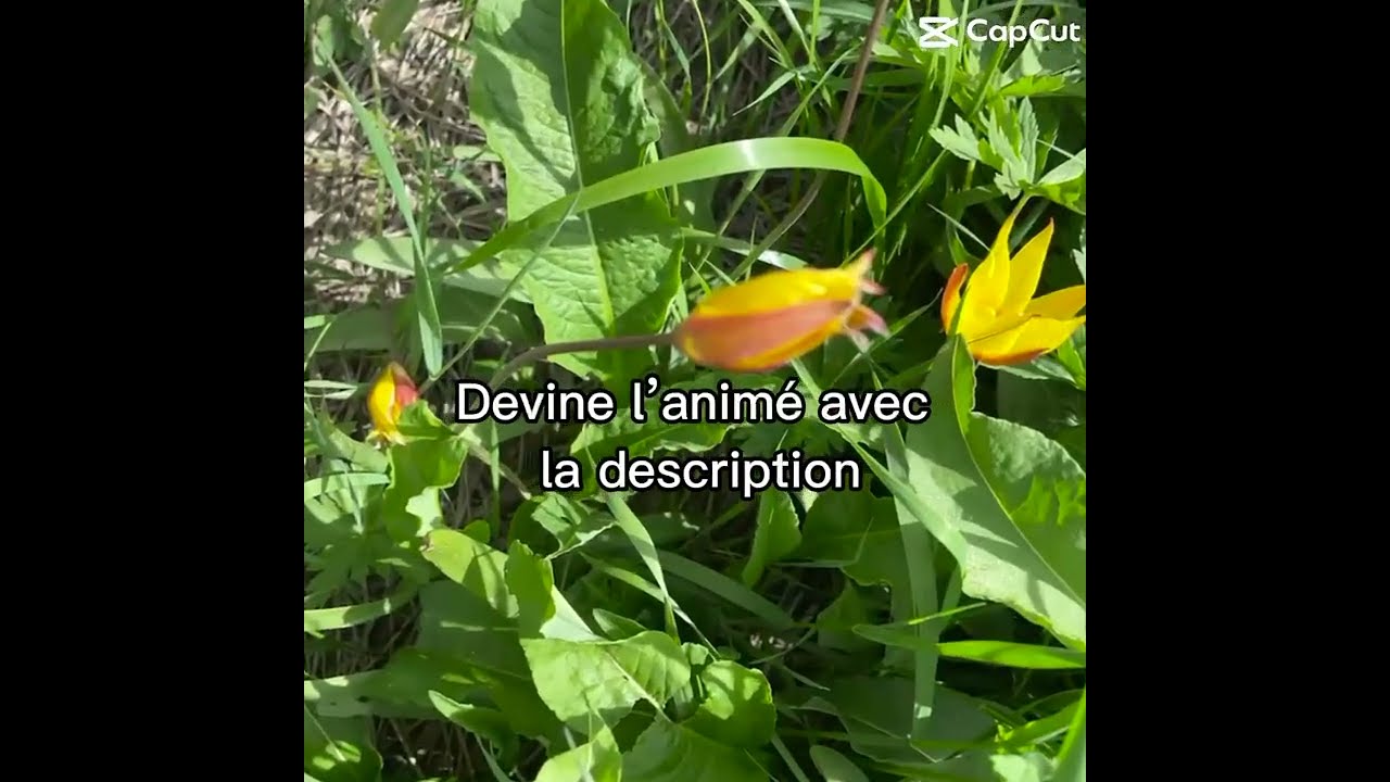 Alors Vous Avez Trouv Anime