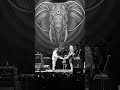 Carey / Belew #drumshorts #berlin #concert #beat #dannycarey #adrianbelew #tonylevin