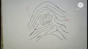 THE RIDGE COUNTING AND TRACING