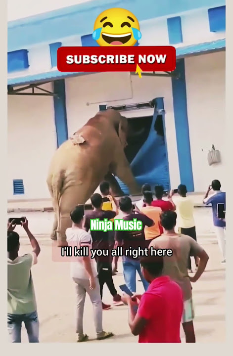 Gajodhar Singh SI ka Tamasha! 😂🐘  #ytshorts #youtubeshorts #viralshorts