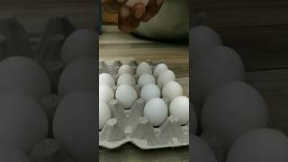 egg recipe priyankavinodyadav shorts food satisfying