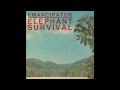 Capture de la vidéo Emancipator - Elephant Survival - 2011 [Hd]