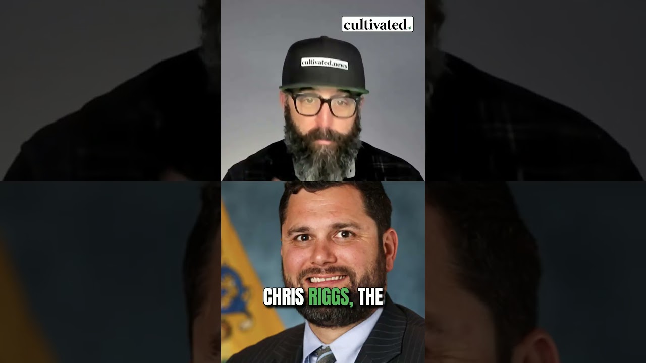 New Jersey's cannabis market up 25% in 2024 🚀 #cannabisnews #shorts