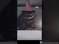 It hurts in my meow meow