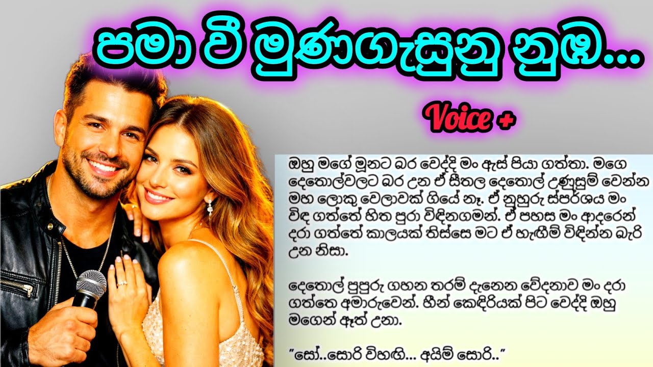 පමා වී මුණගැසුනු නුඹ - ආදරණීය කෙටි කතාවකි. (කතාව වොයිස් කර ඇත.)