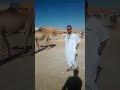 اليزي جمل وناقة وادى ته