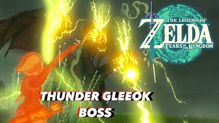 Tears of the Kingdom - Slaying the Thunder Gleeok boss