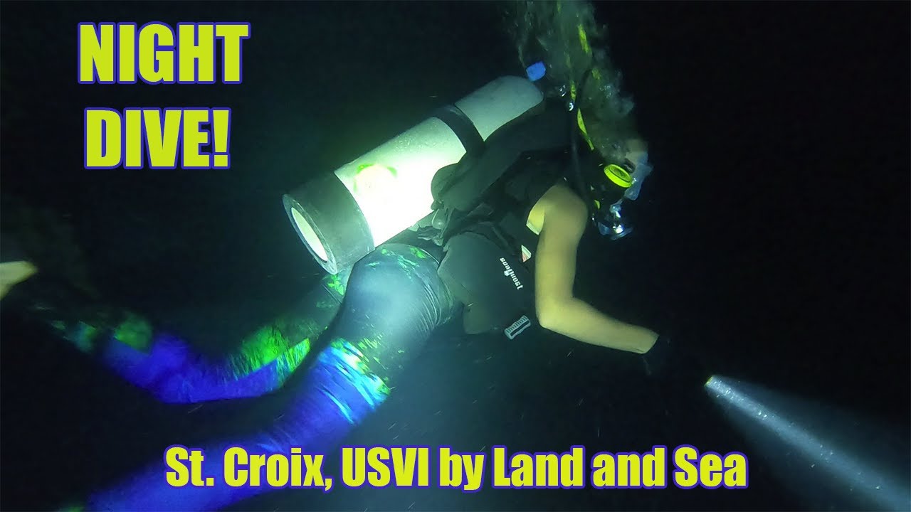 St. Croix by Land and Sea - Our First Night Dive with an Octopus! Episode 13