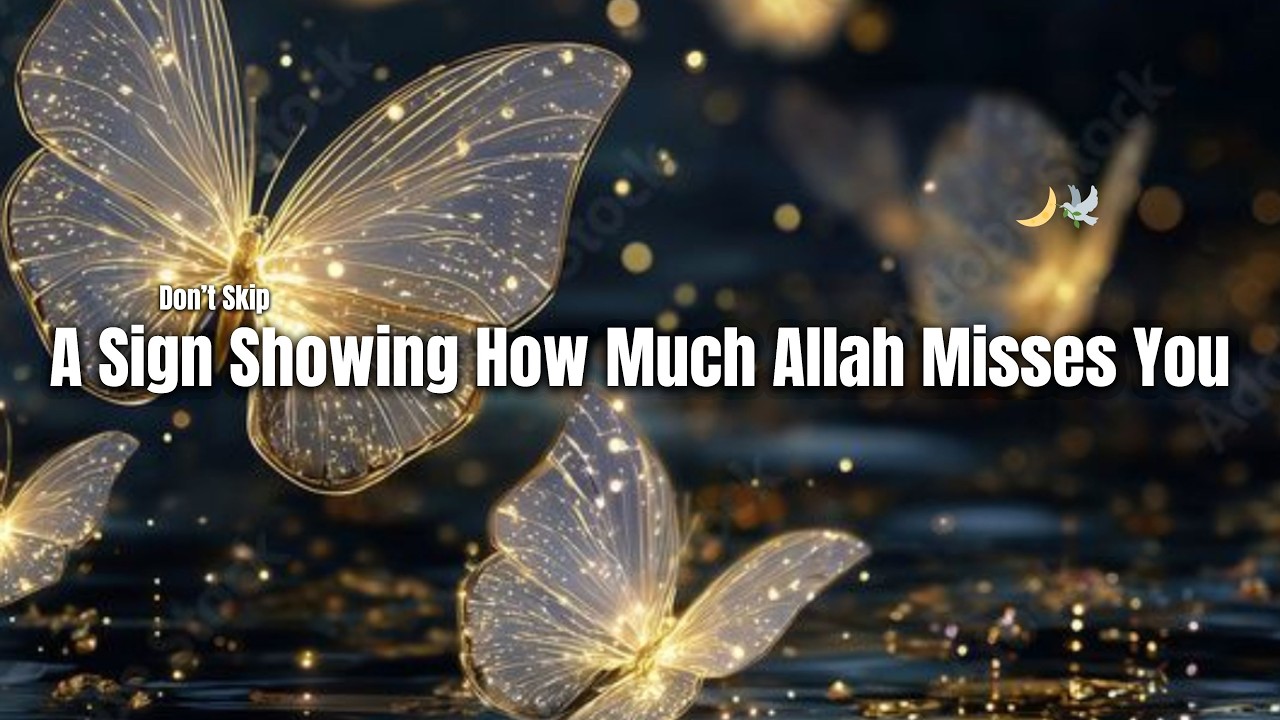 Not By Accident You Get This By Allah's Will🕊️❤️