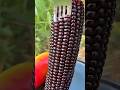 You May Never Seen this Before 😱#shorts #youtubeshorts #shortsfeed